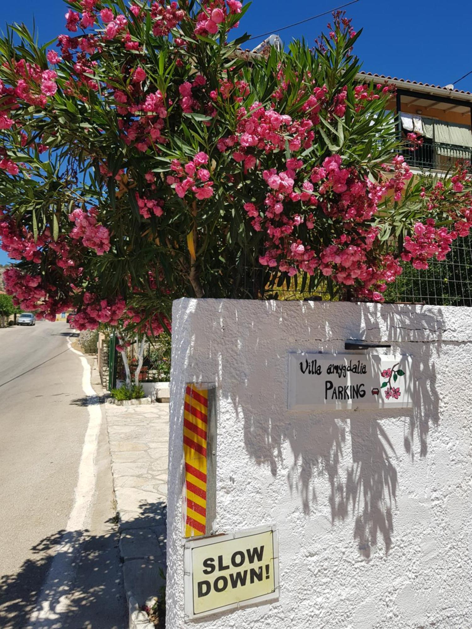 Villa Amygdalia Dilináta Exteriör bild